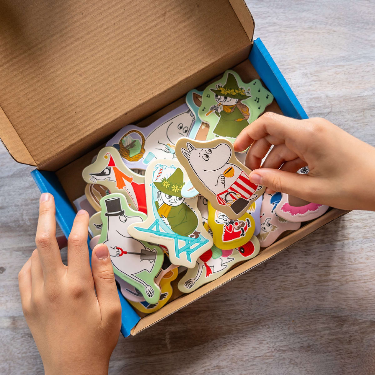 Moomin Magnetic Playset