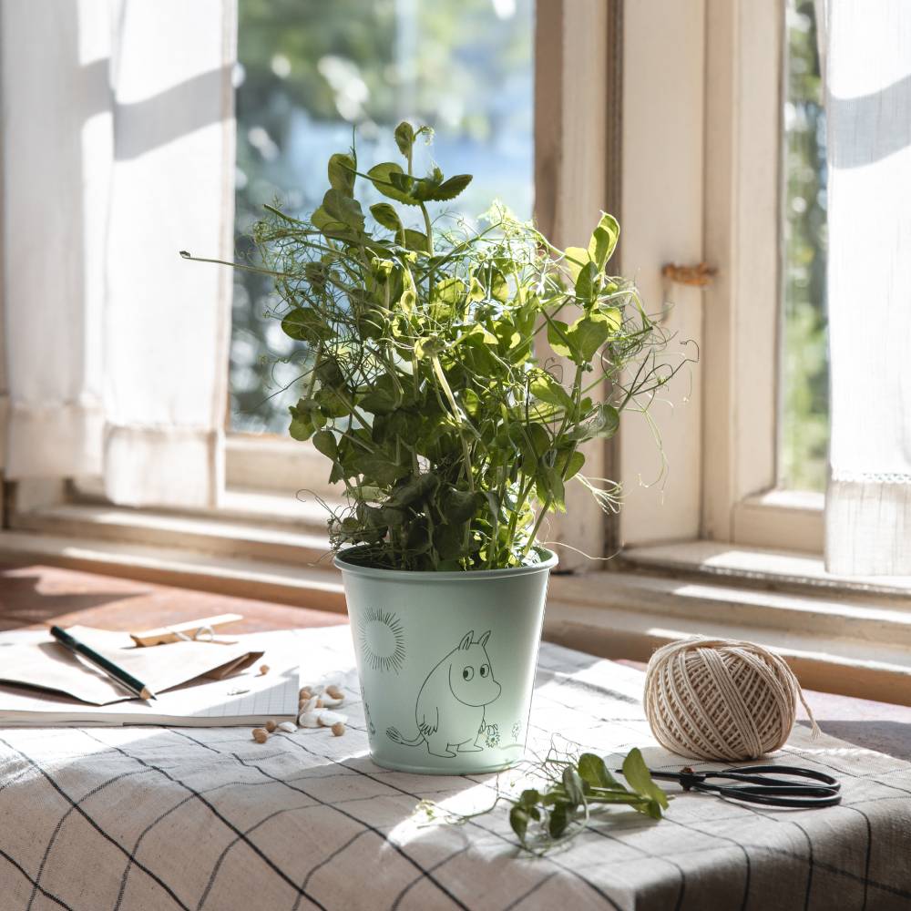 Moomin Gardenia Flower Pot 11cm Green - The Official Moomin Shop