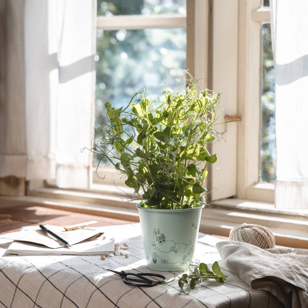 Moomin Gardenia Flower Pot 11cm Green - The Official Moomin Shop