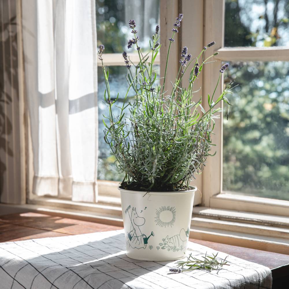 Moomin Gardenia Flower Pot 16cm White - The Official Moomin Shop