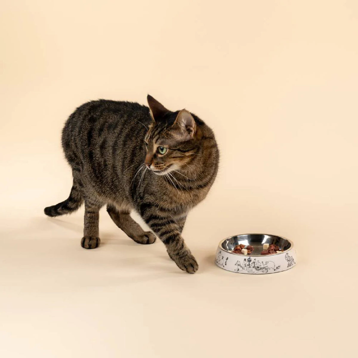 Moomin For Pets Cat Food Bowl Moomin 80