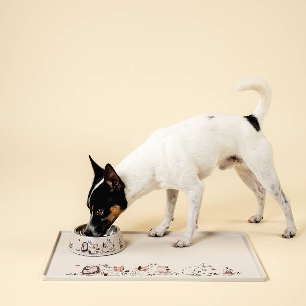 Moomin Moments For Pets Food Bowl S - The Official Moomin Shop