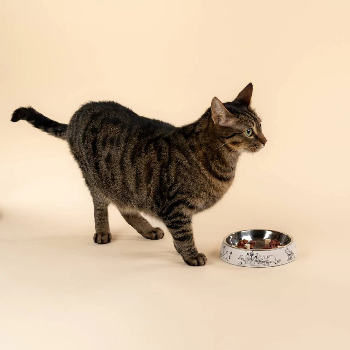 Moomin For Pets Cat Food Bowl Moomin 80