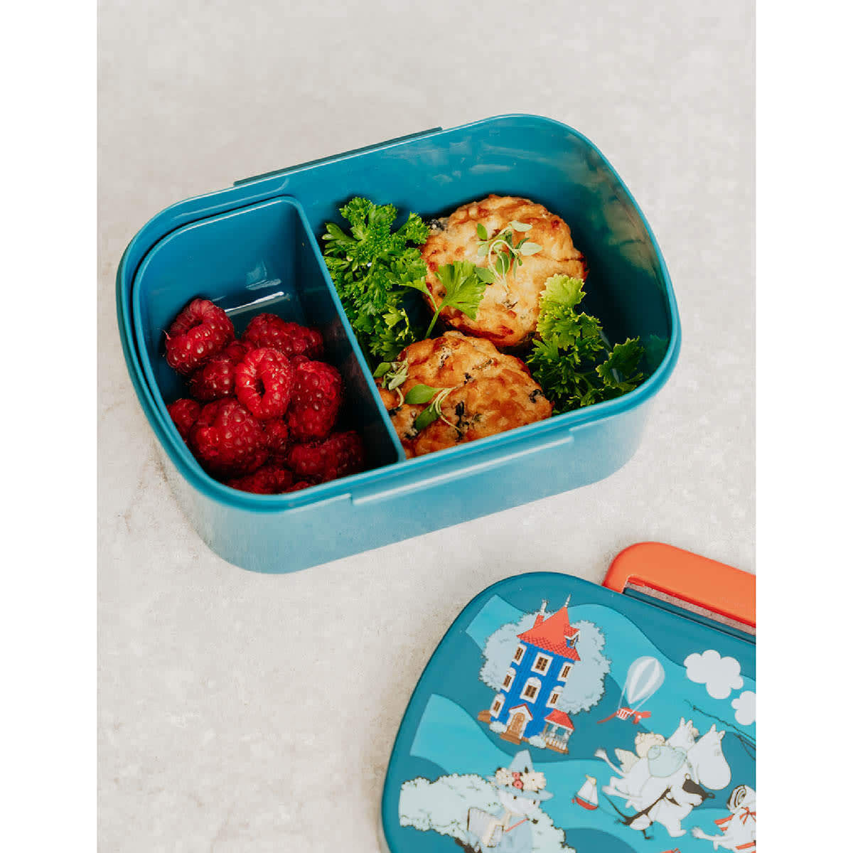 Lunch Box Little Home Yard