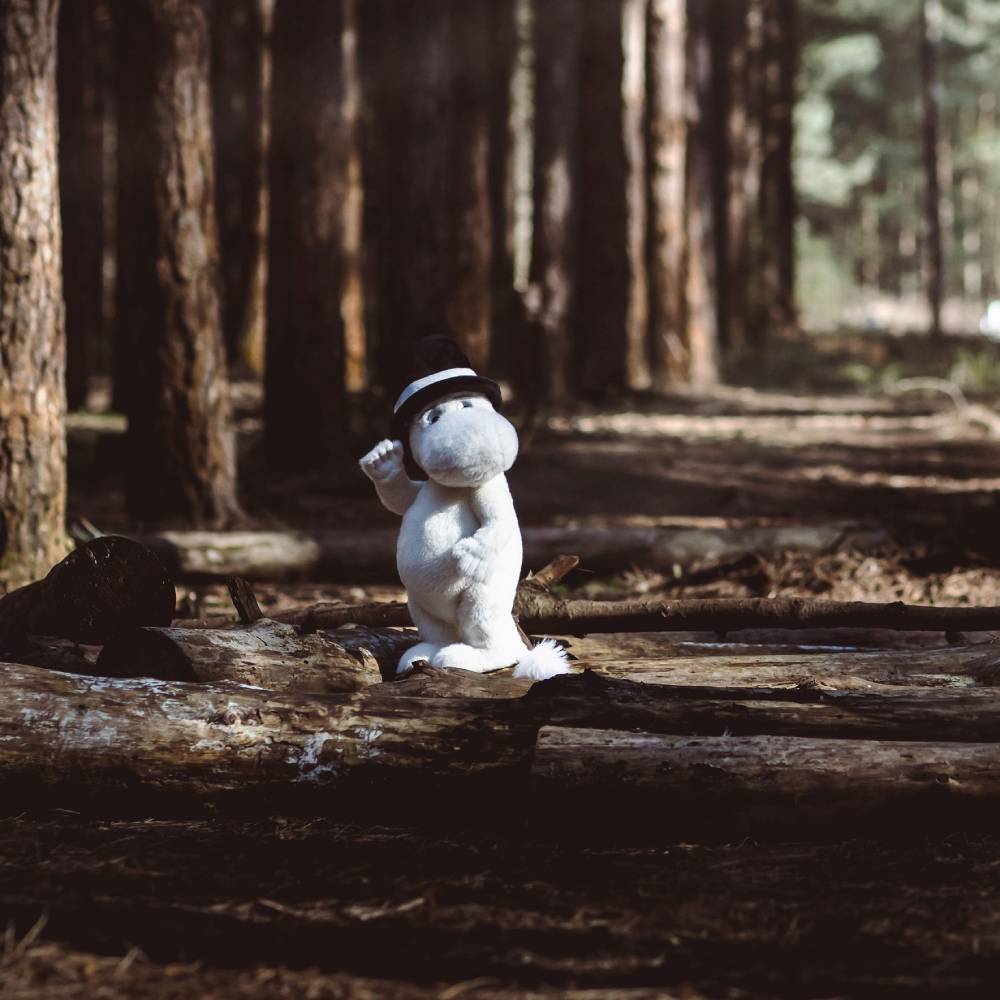 Moominpappa - Moomin by Charlie Bears