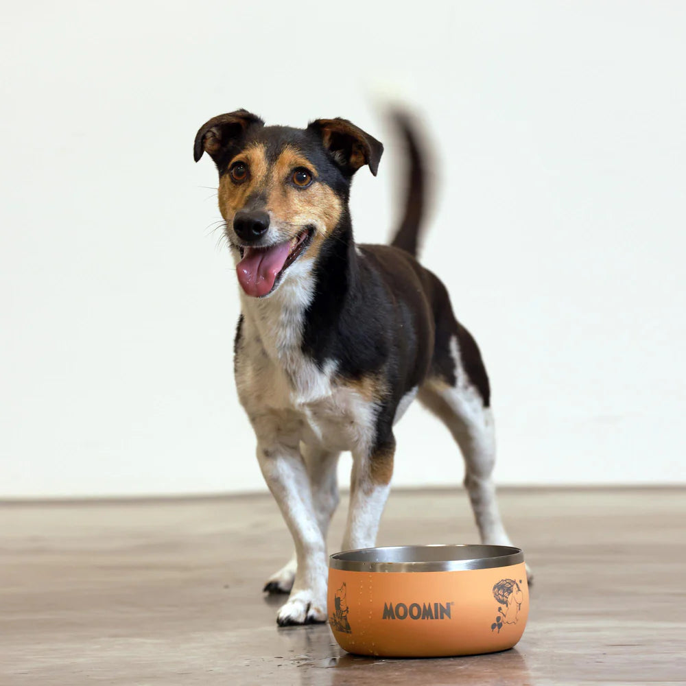 Moomin Lunar Pet Bowl Peach