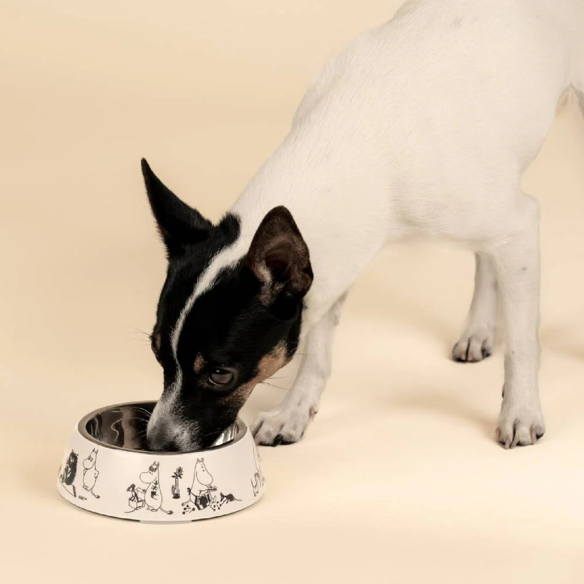 Moomin For Pets Bowl Moomin 80 Small