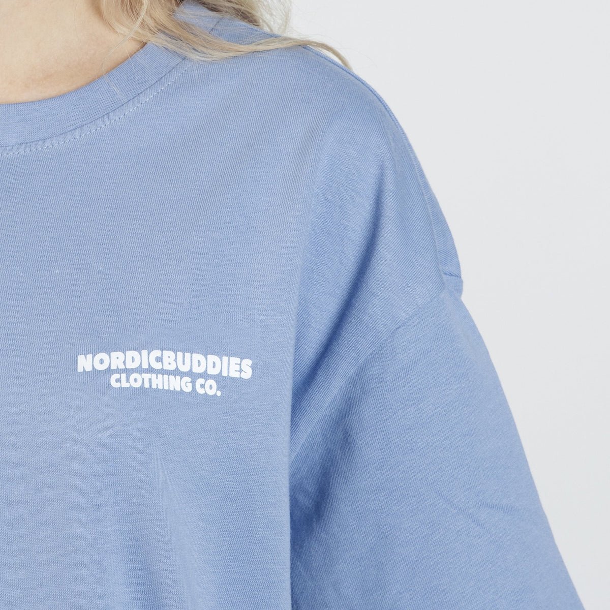 T-shirt Moomintroll Adventuring Light Blue