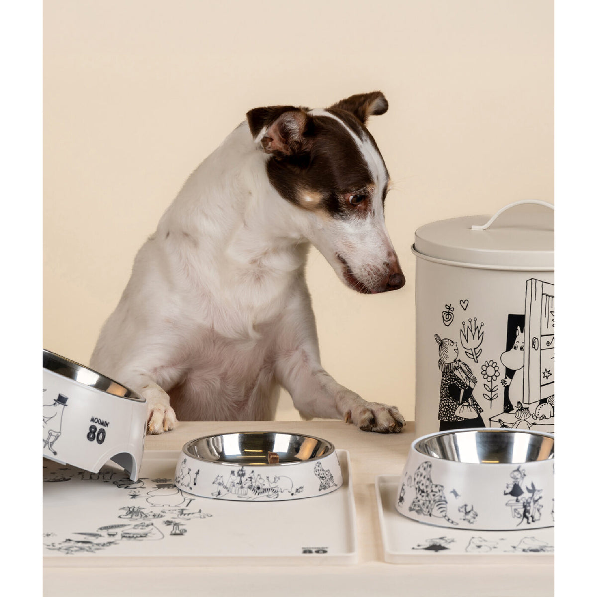 Moomin For Pets Tin 19 cm Moomin 80