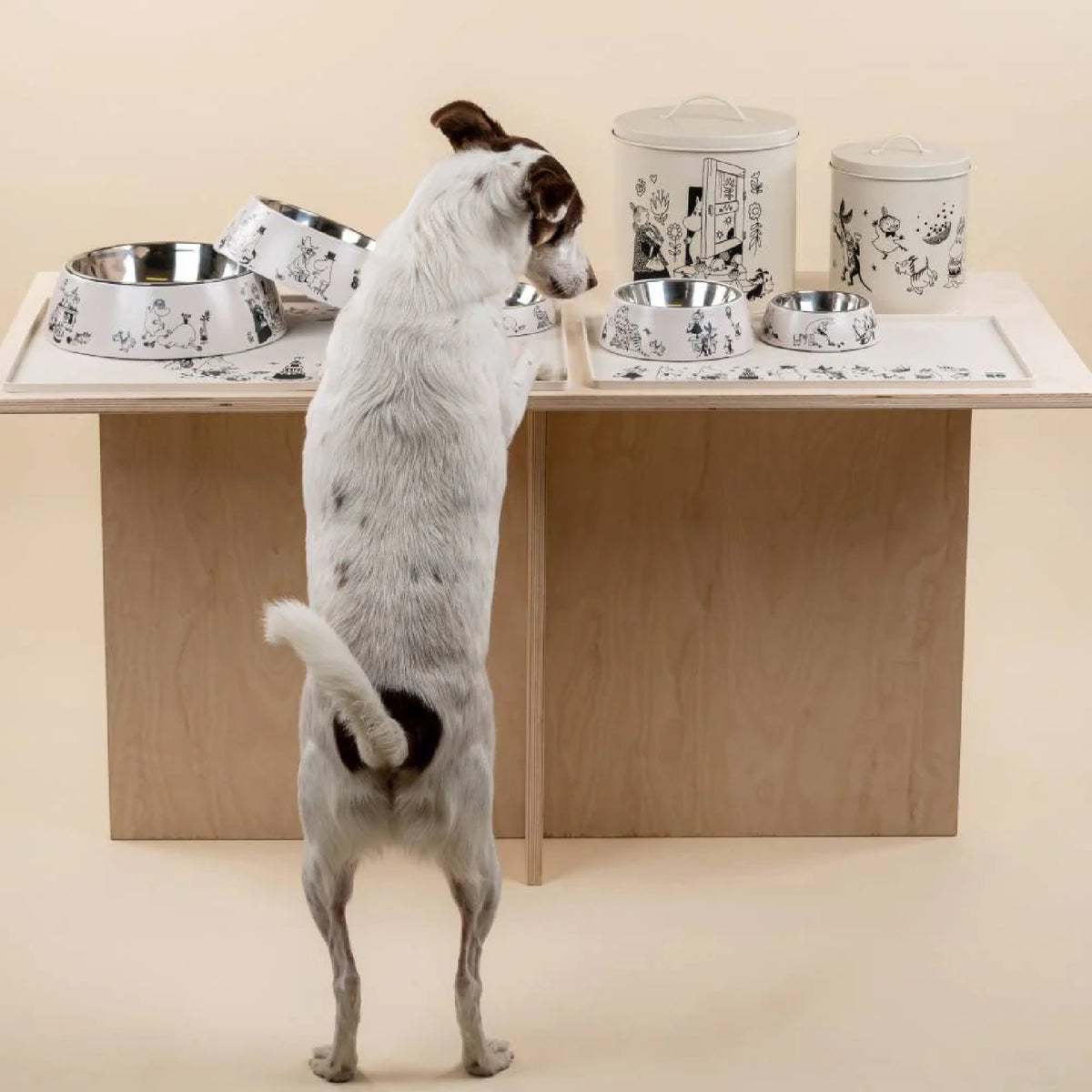 Moomin For Pets Bowl Moomin 80 Small