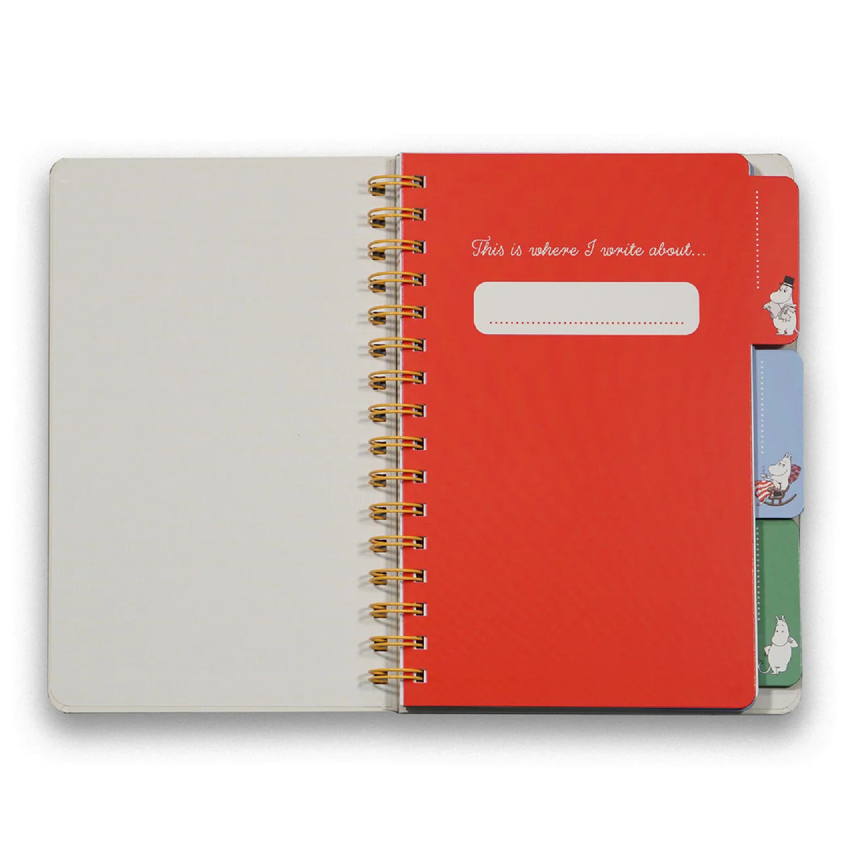 Moomin Get Organised Notebook A5 (In A Spin)