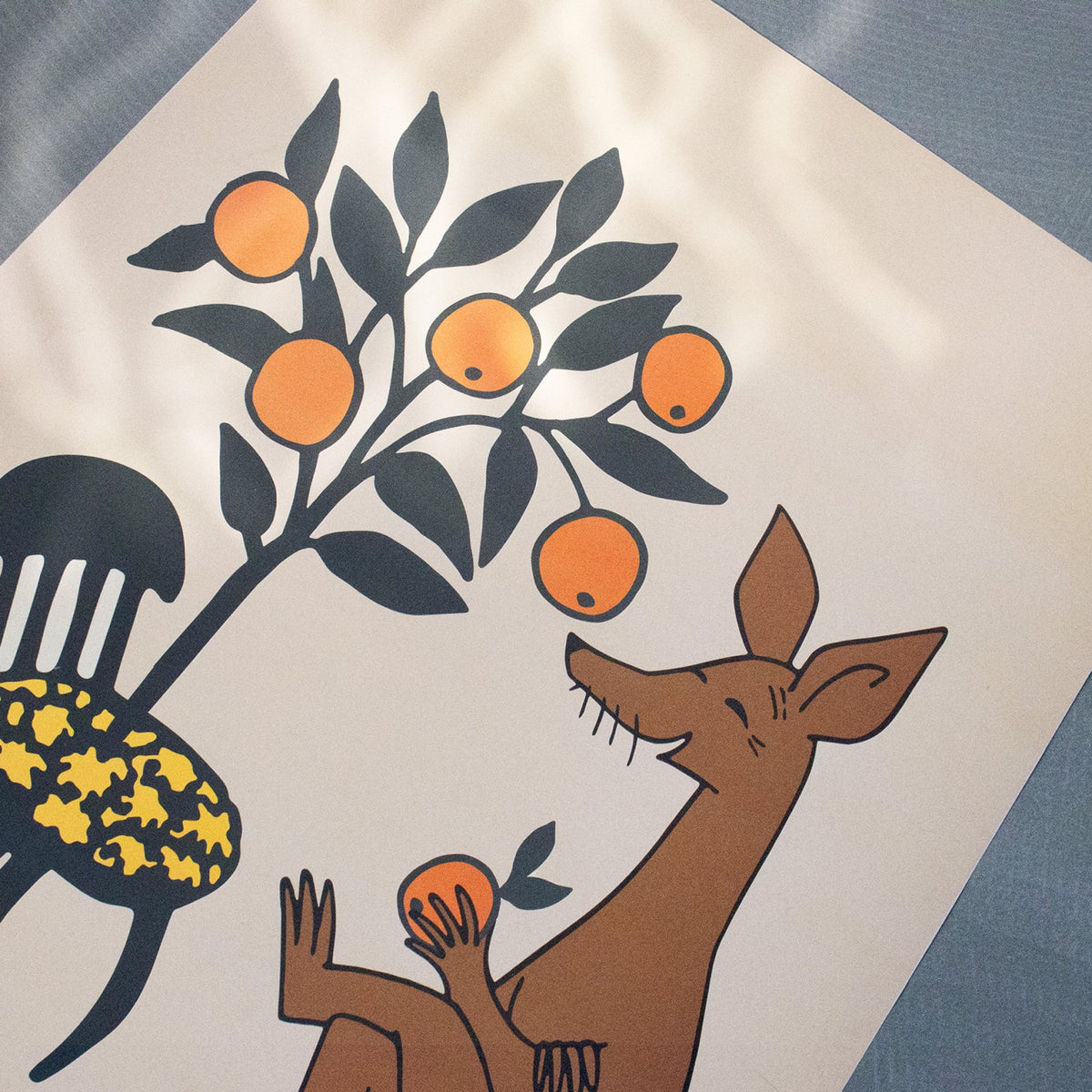 Poster Sniff Oranges