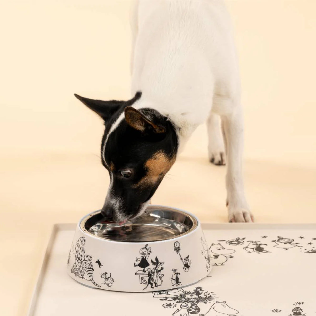Moomin For Pets Bowl Moomin 80 Medium