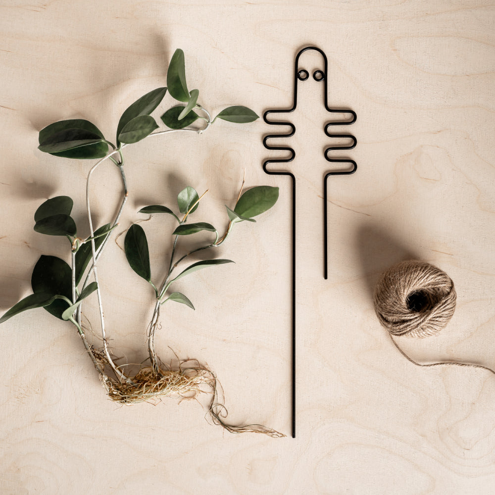 Hattifattener Plant Support