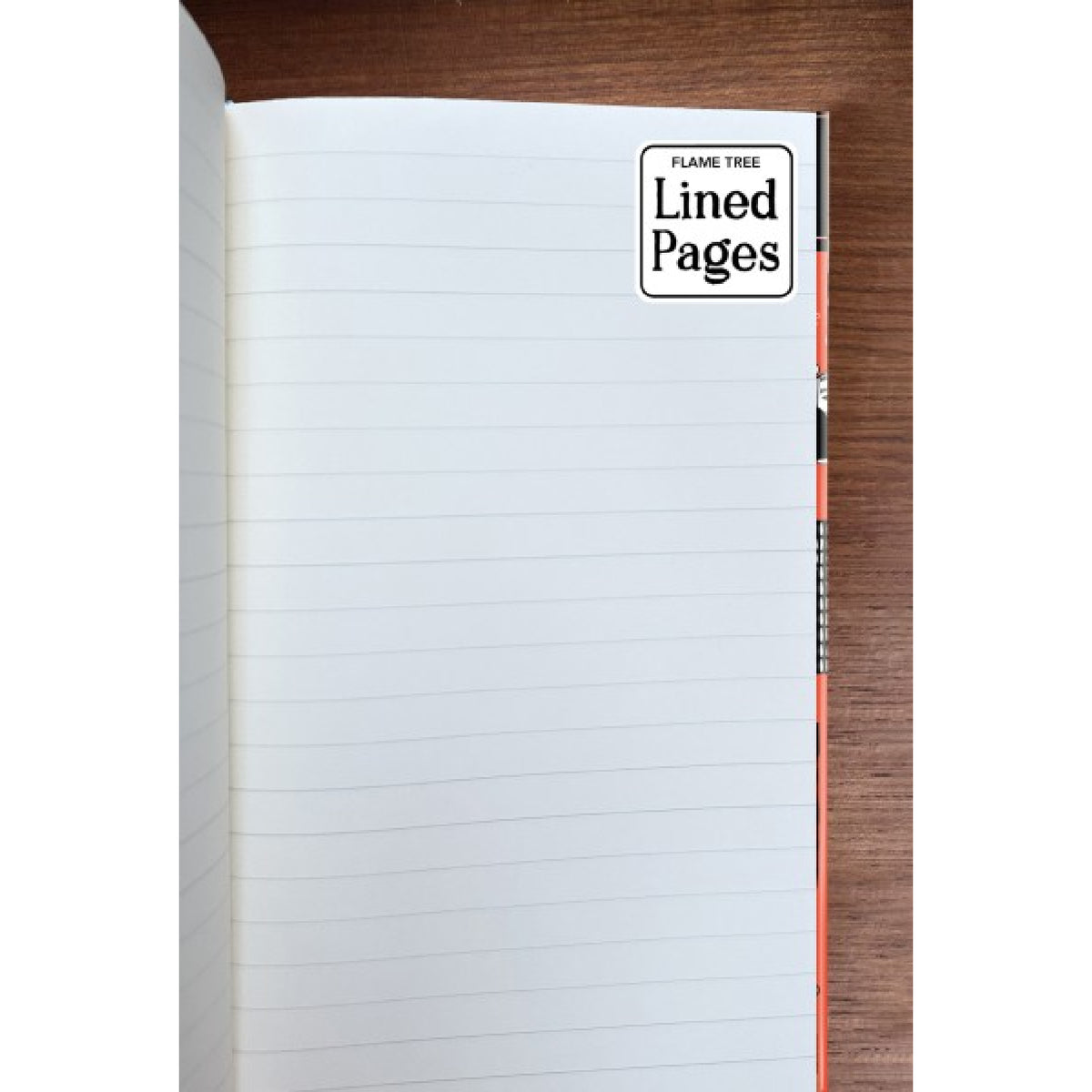 Moomin Bookshelves (Foiled Slimline Journal)