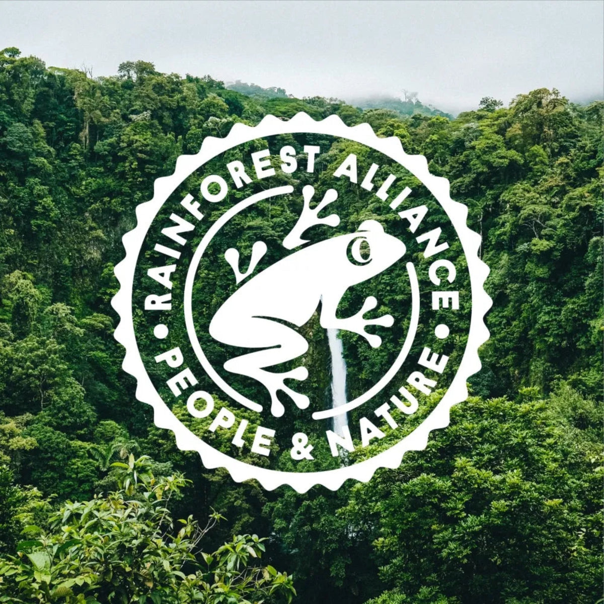 Moomin Tea Advent Calendar 2025