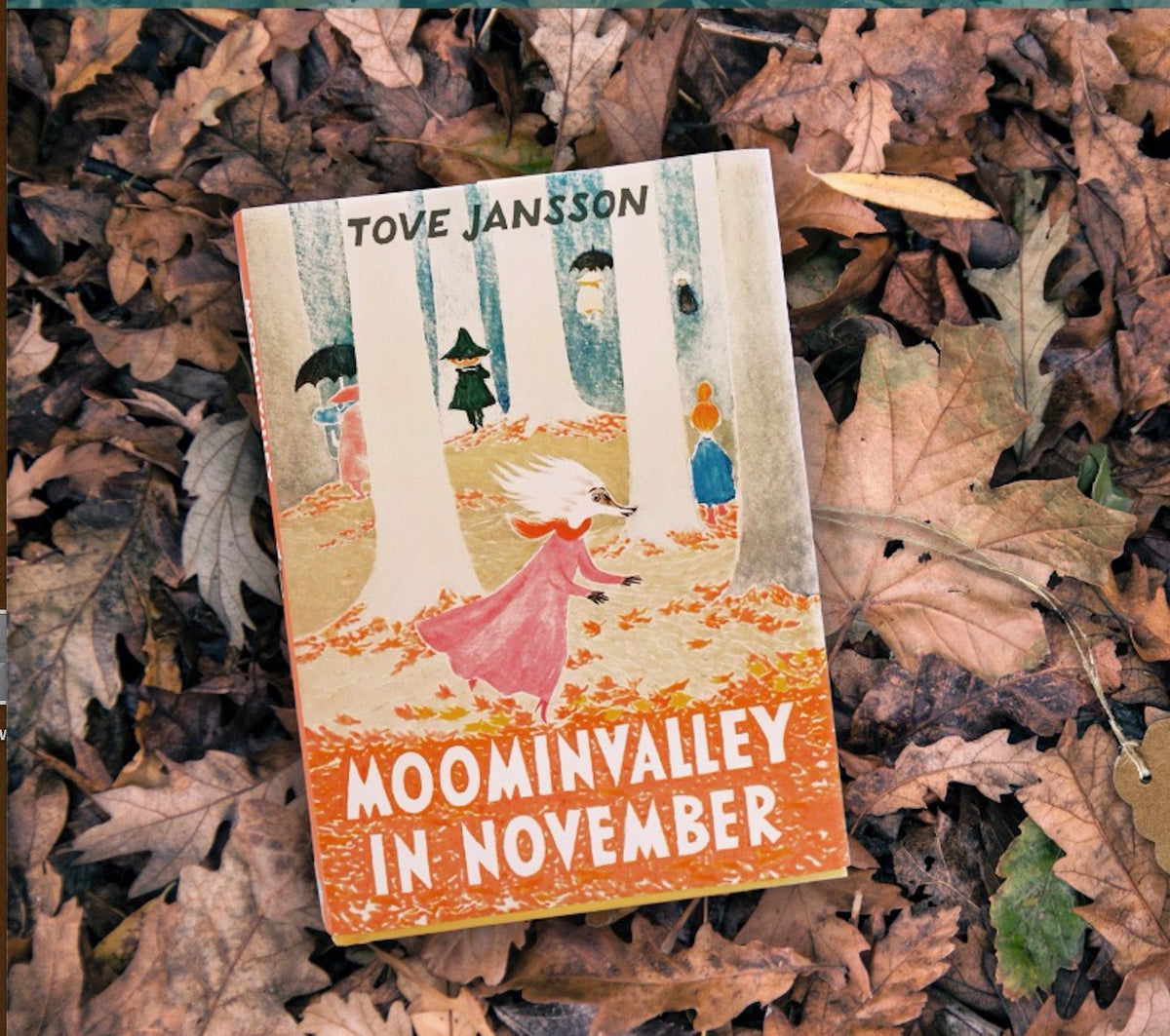 Moominvalley In November